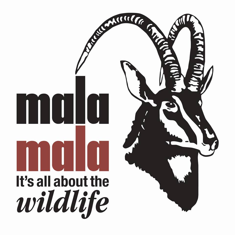 MalaMala Game Reserve – World Social Media Awards