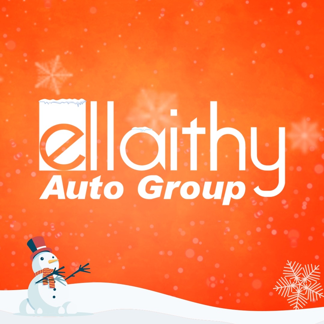 Image result for Ellaithy Auto Group